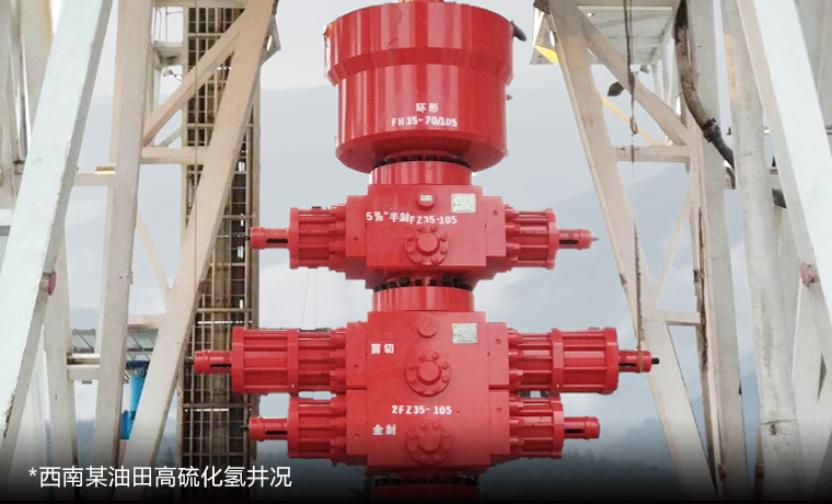 高抗硫井控设备解决规划